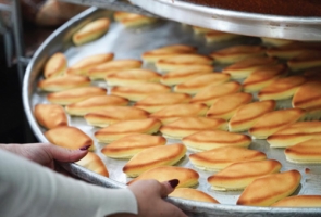 1 Dozen Sanyoura Plain