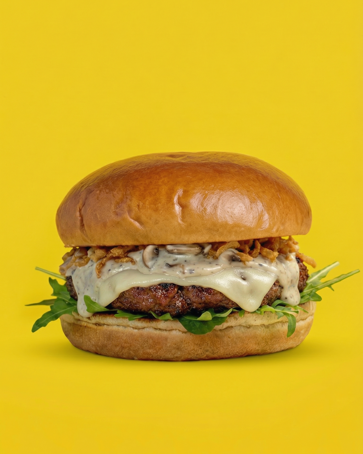 Swiss & Cheese Burger